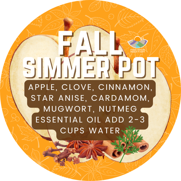 Fall Simmer Pot