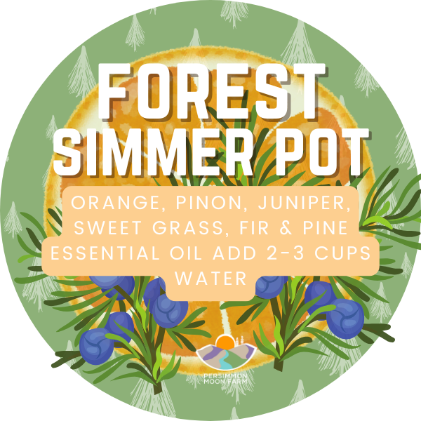 Forest Simmer Pot