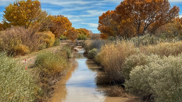 The History of Acequias in Northern New Mexico