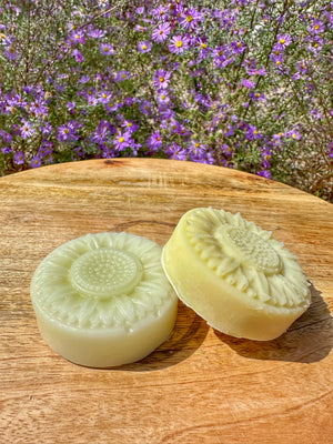 Shampoo & Conditioner Bar Set