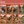 Collection of illustrations of animals and landscapes on a red background with text about Northern New Mexico. Ember & Bone.