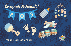 Nest & Nurture Baby Gift Box