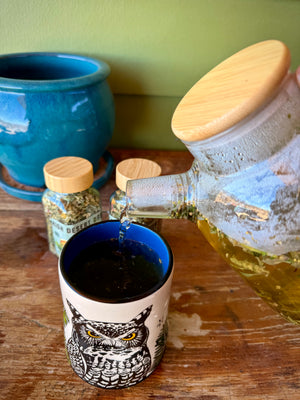 Owl tea cup herbal tea kettle
