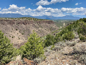 Rio Hondo Gorge Arroyo Hondo NM
