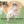 Forest Walker | Owl Candle